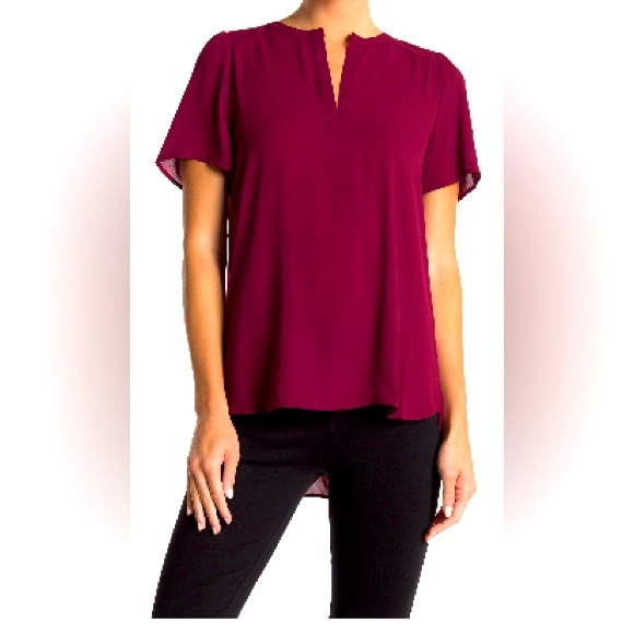 Pleione Other - Burgundy pelione